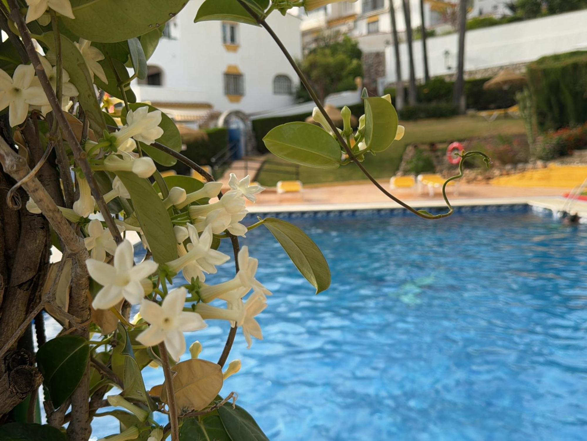 Apartment Summer Paradise In Benalmádena