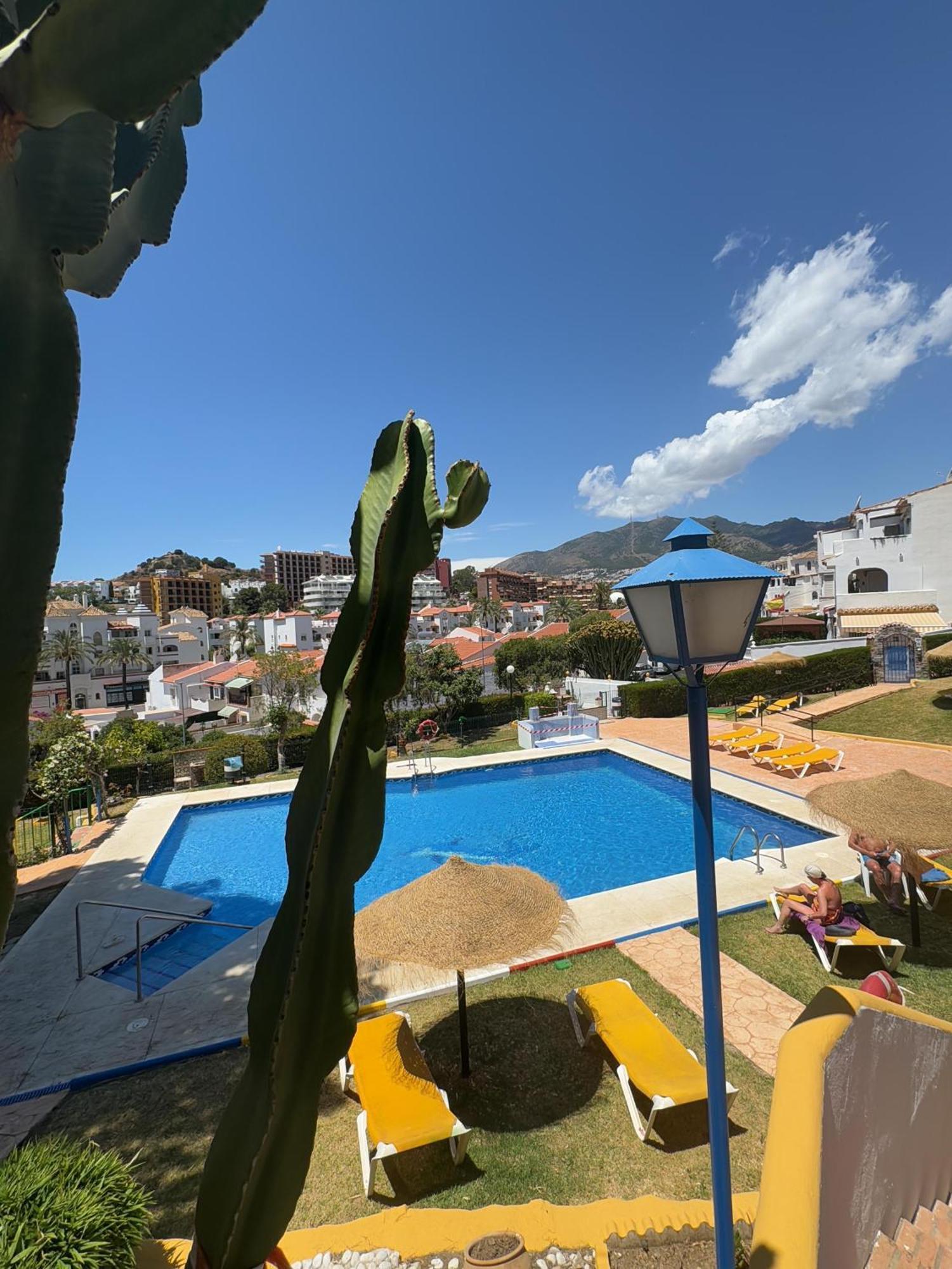 Summer Paradise In Apartment